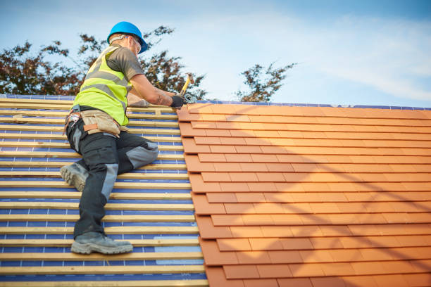 Best Roof Moss and Algae Removal  in Trooper, PA